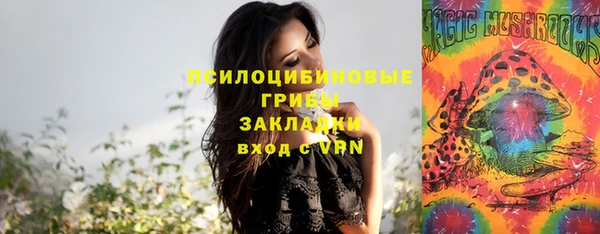 прущая мука Балахна